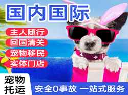 义乌航空运输国际宠物托运 【国